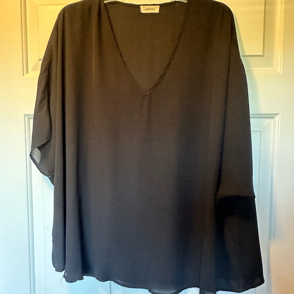 Sheer Black V-Neck Top